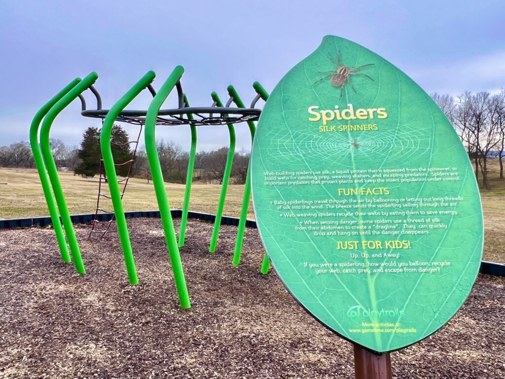 Lions Park Spider Web