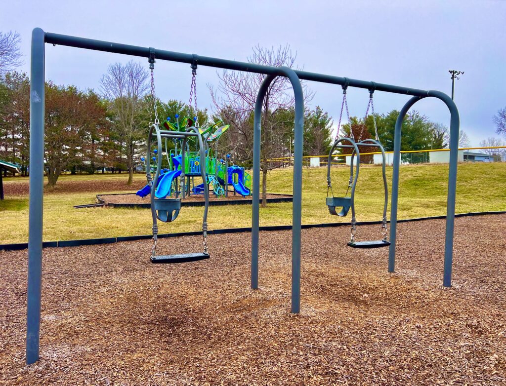 Lions Park Swings
