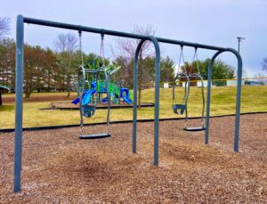 Lions Park Swings