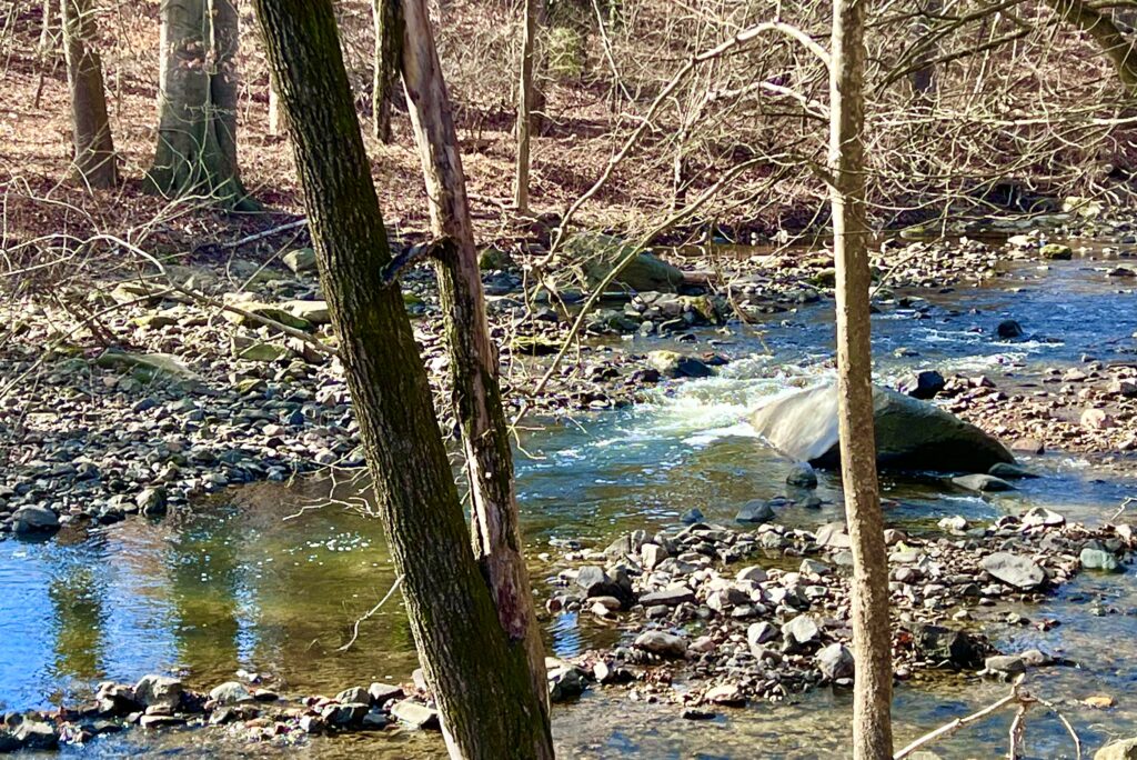 Adelphi Mill Stream