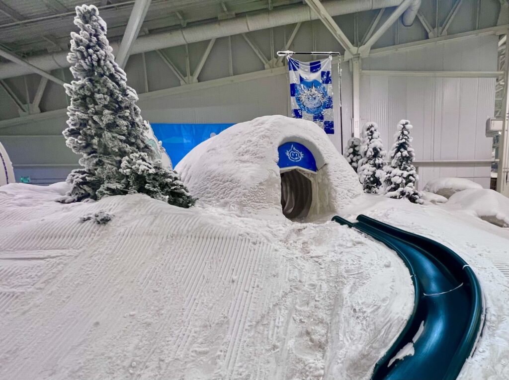 Igloo and Slide