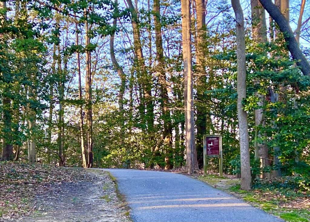 Broadneck Park Walking Trail