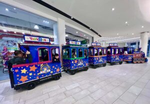 Toys R Us Train