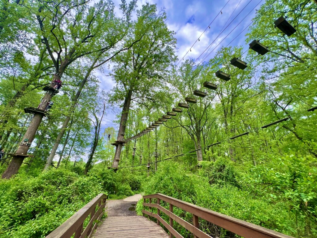 Sandy Spring Adventure Park Bridge