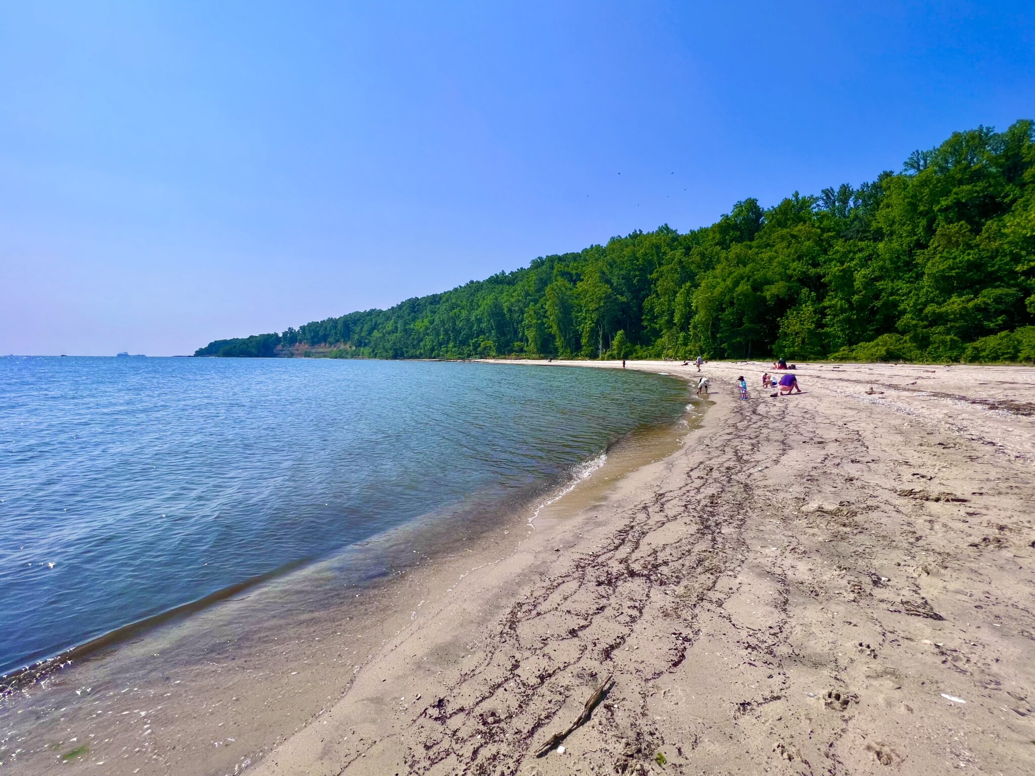 flag-ponds-nature-park-beach-been-there-done-that-with-kids