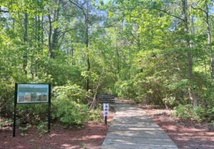 Flag Ponds Nature Park Beach Trail