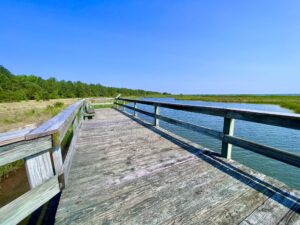 Flag Ponds Nature Park Observation Deck