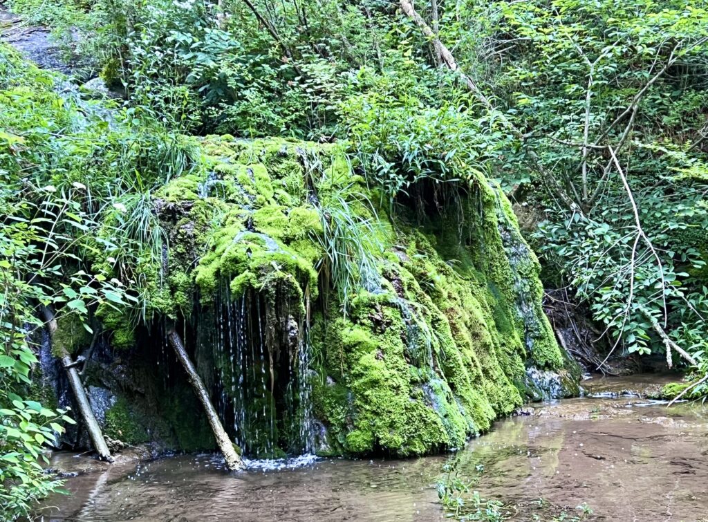 Natural Bridge State Park Water