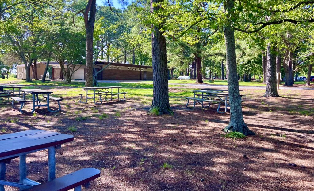 Point Lookout State Park Picnic Tables