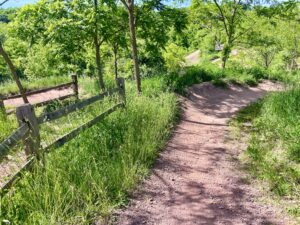 Raystown Lake Mountain Bike Trails