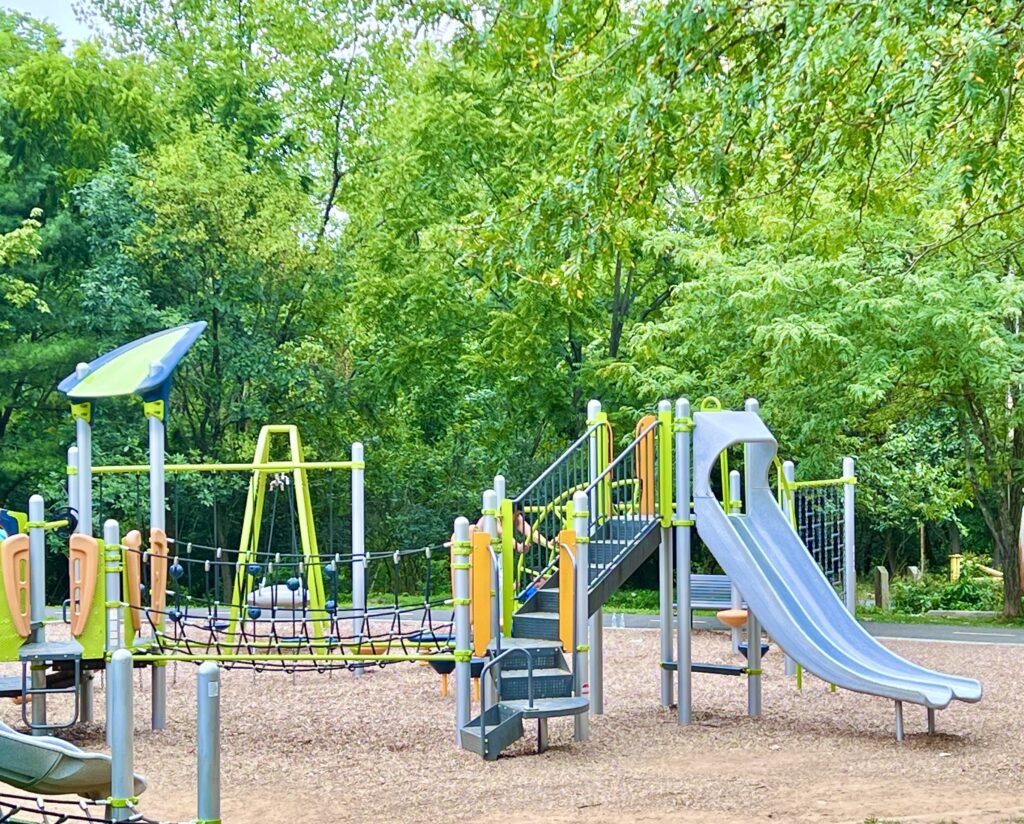 Dewey Local Park Slides