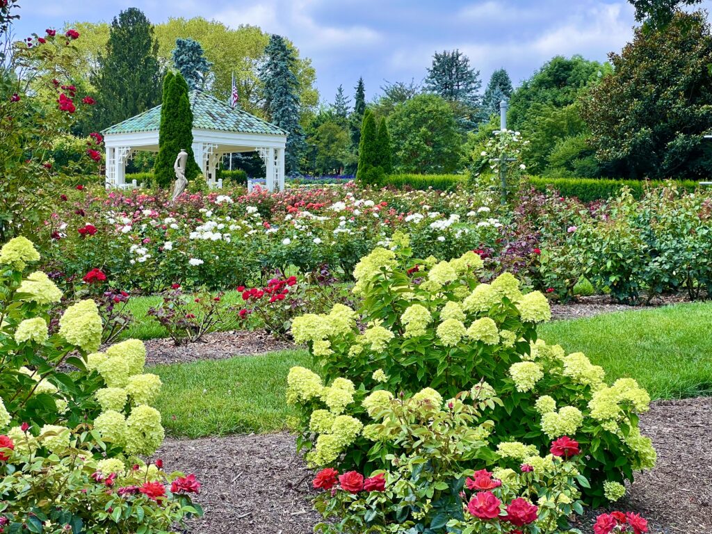 Hershey Gardens Roses
