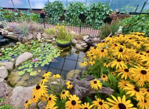 Hoop House