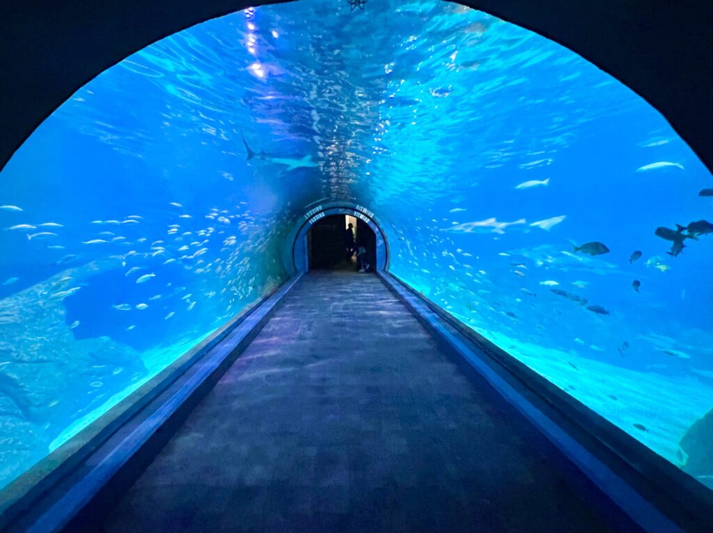 Adventure Aquarium Tunnel