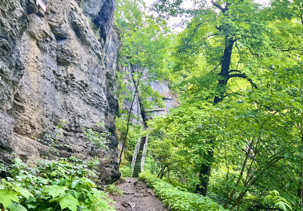 Thacher State Park Trail with Stairs