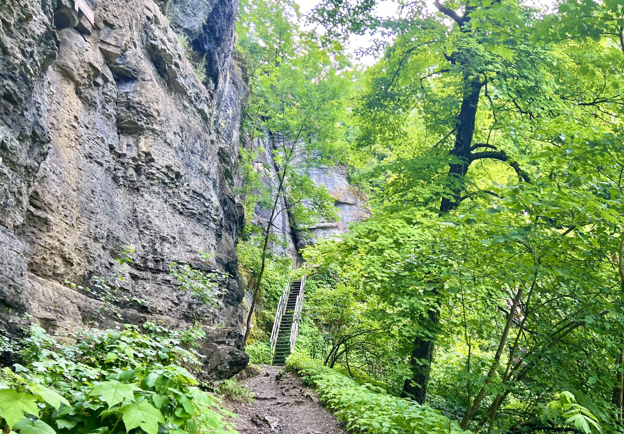 Thacher State Park - Voorheesville, NY - Been There Done That with Kids