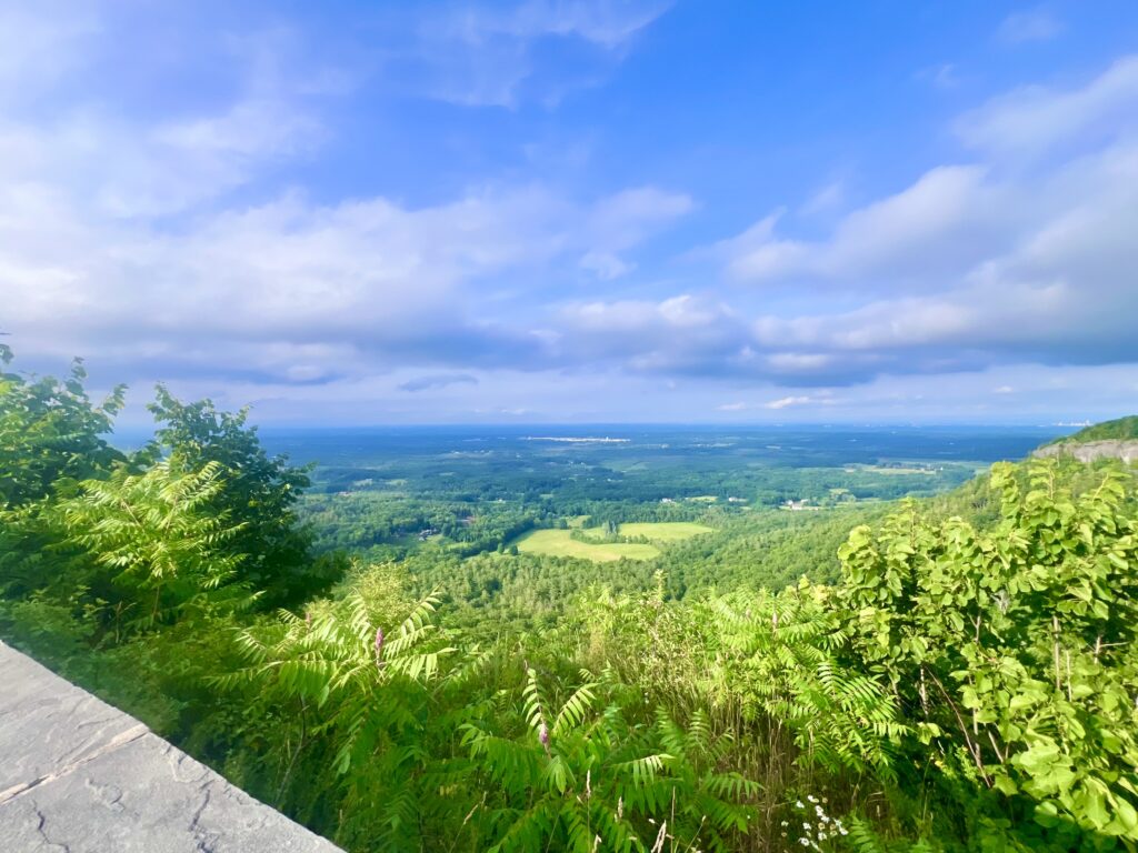 Thacher State Park Sign Overlook