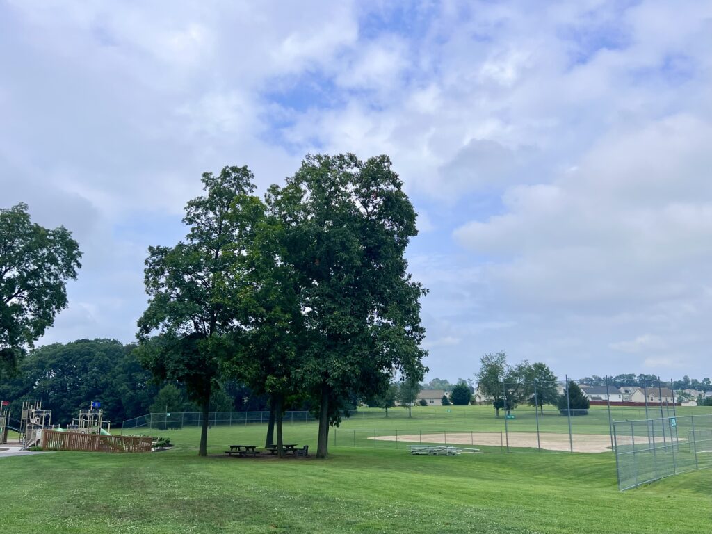 Penn Township Community Park Picnic