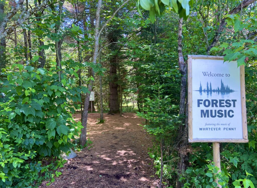 Forest Music