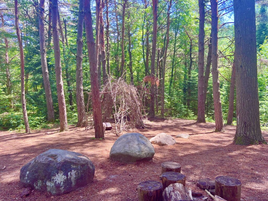 The Wild Center Pines Play Area