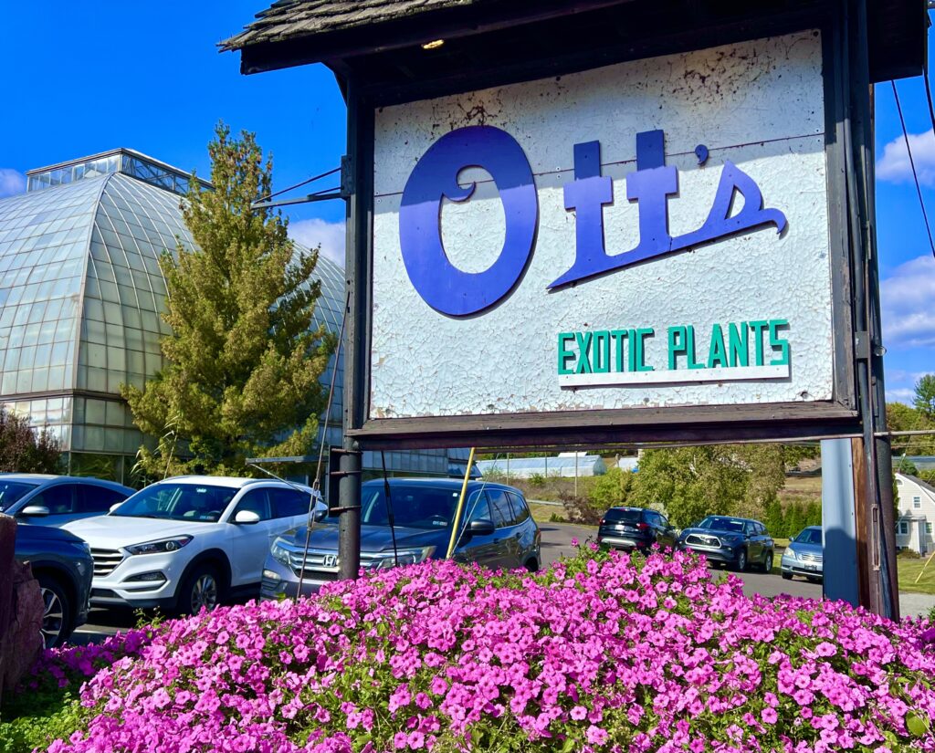 Ott's Exotic Plant Sign