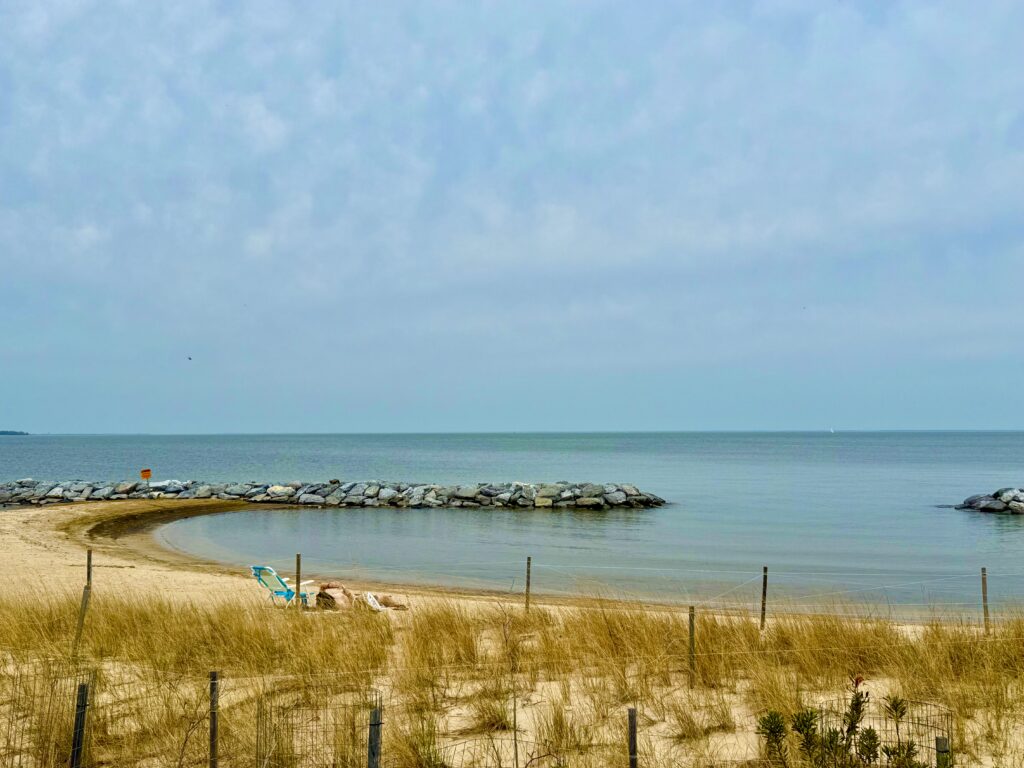 Fort Smallwood Dunes