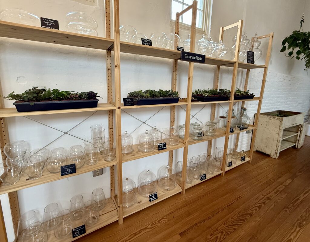 Gallery Grow Container Options