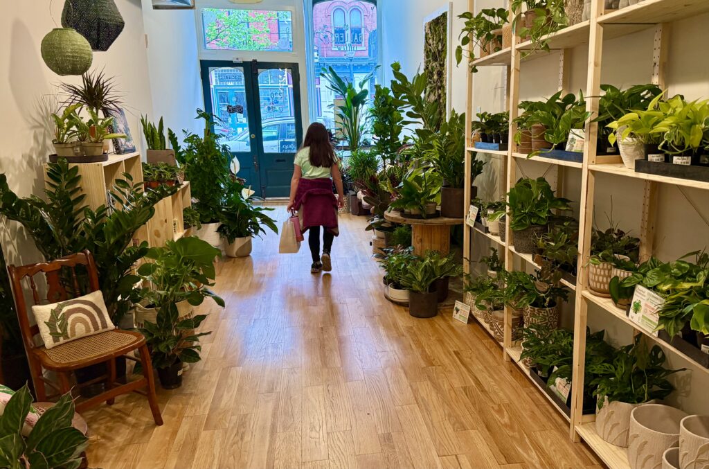 Gallery Grow Store