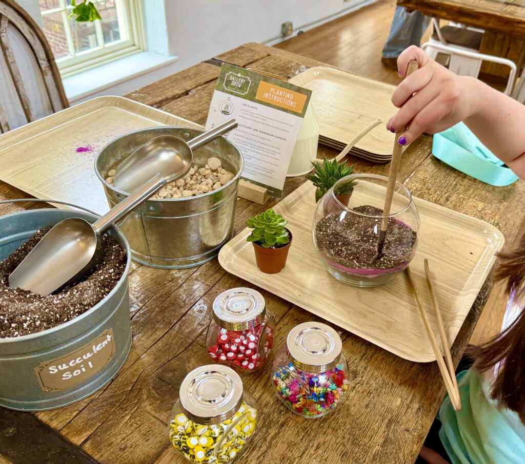 Gallery Grow Terrarium Assembly