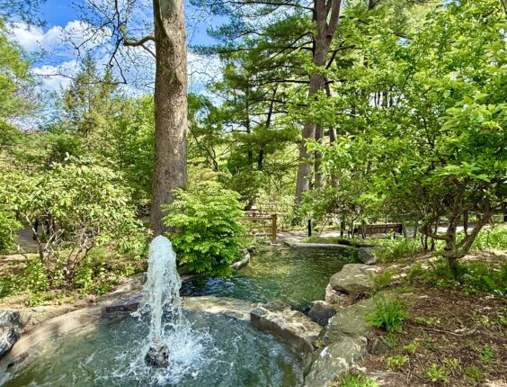 Garden of Five Senses Fountain