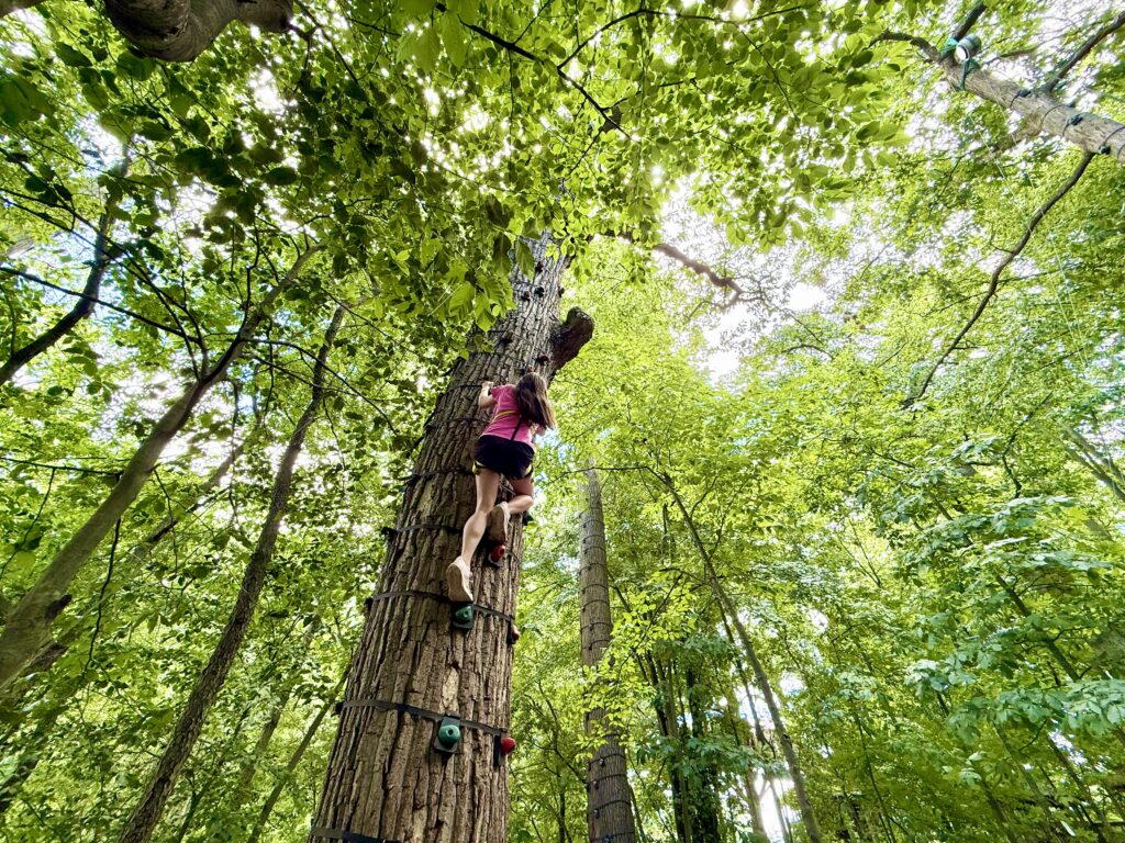 Climbing Tree Treehouse World