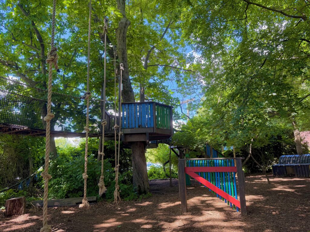 Warrior Woods